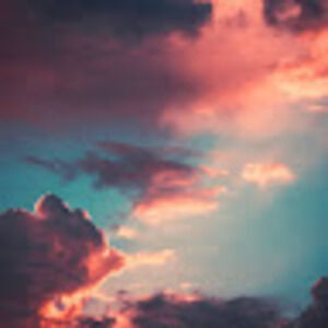 Meet your Posher, Toaster